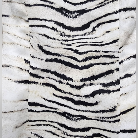 Élisabetaa franchi mini dress - Picture 5 of 12